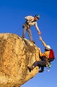 Picking the Right Partner